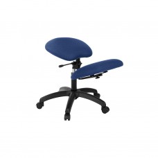 S2702 CHAIR ECOPOSTURAL